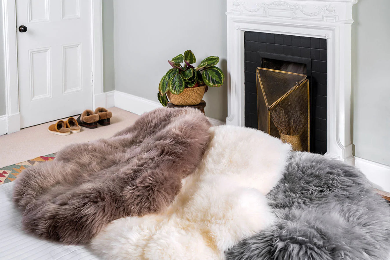 Single X-Large Premium Sheepskin Rug & Throw, (W65 x L100 cm), Taupe
