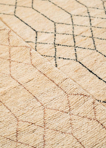 Bazm Hand Knotted Rug - 278 x 189 cm