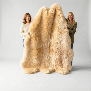 Sexto New Zealand Sheepskin Rug & Throw, 6-Pelt, X-Large, L180 x W150 cm, Champagne