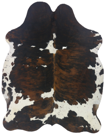 Premium Natural Brazilian Cowhide Tri Colour Brindle Large 3.5–3.9 m²