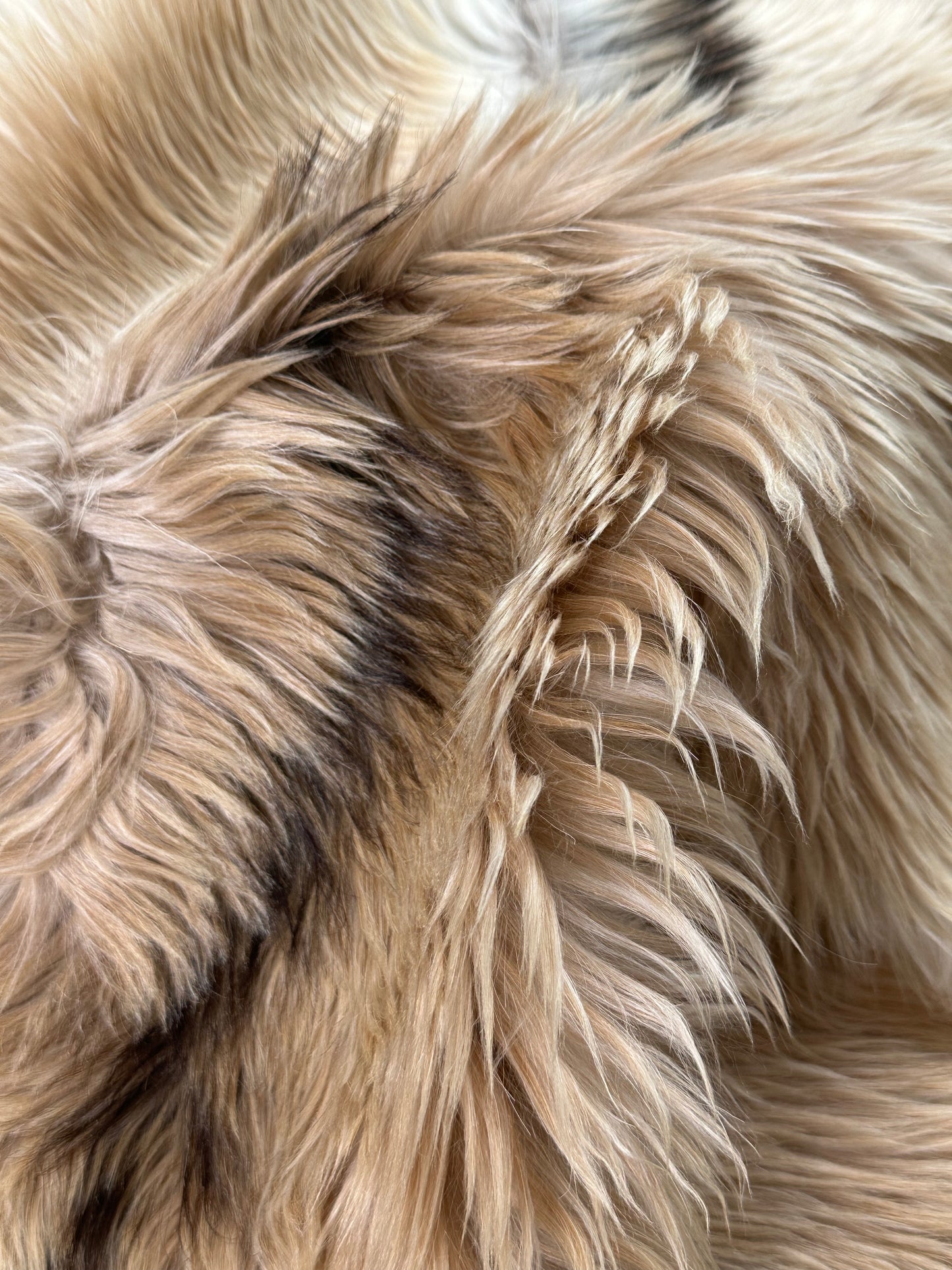 Natural Premium Argentine Criollo Long Hair Goatskin, Beige