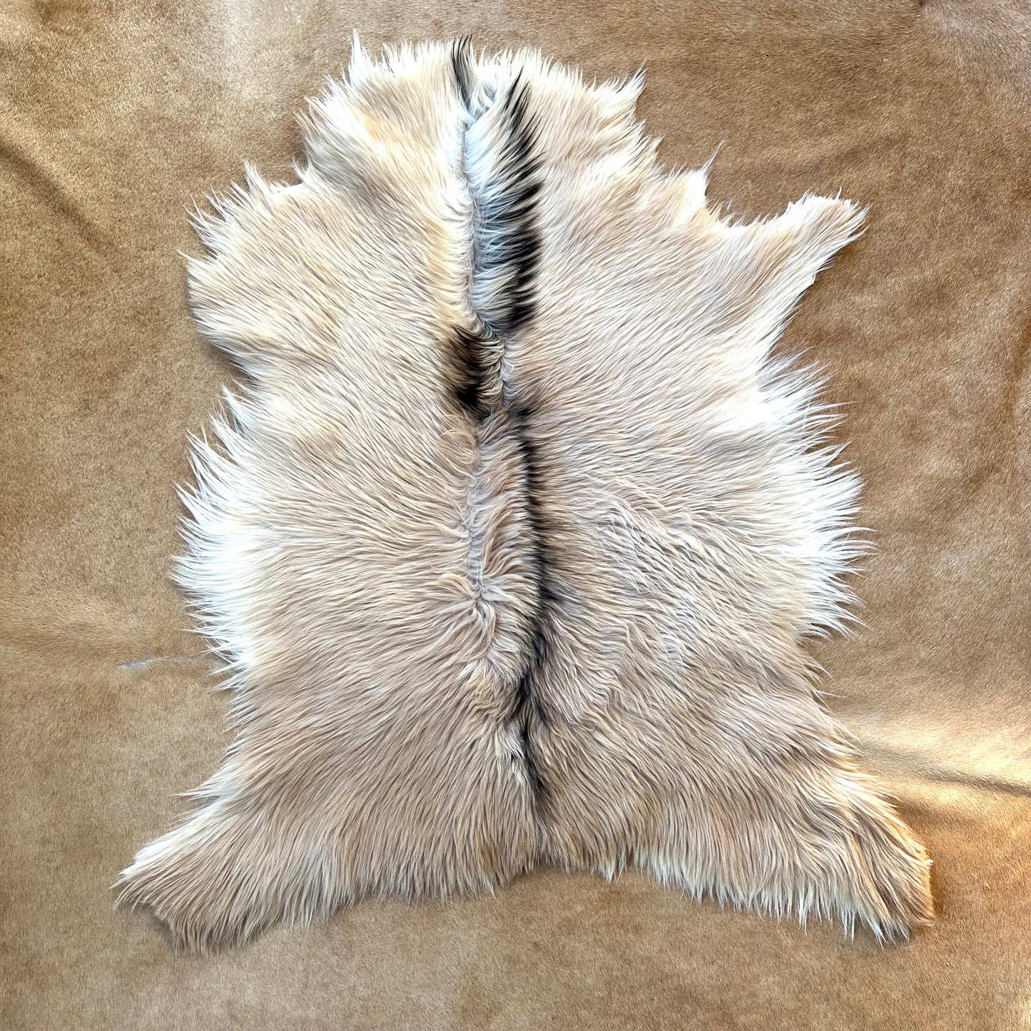 Natural Premium Argentine Criollo Long Hair Goatskin, Beige