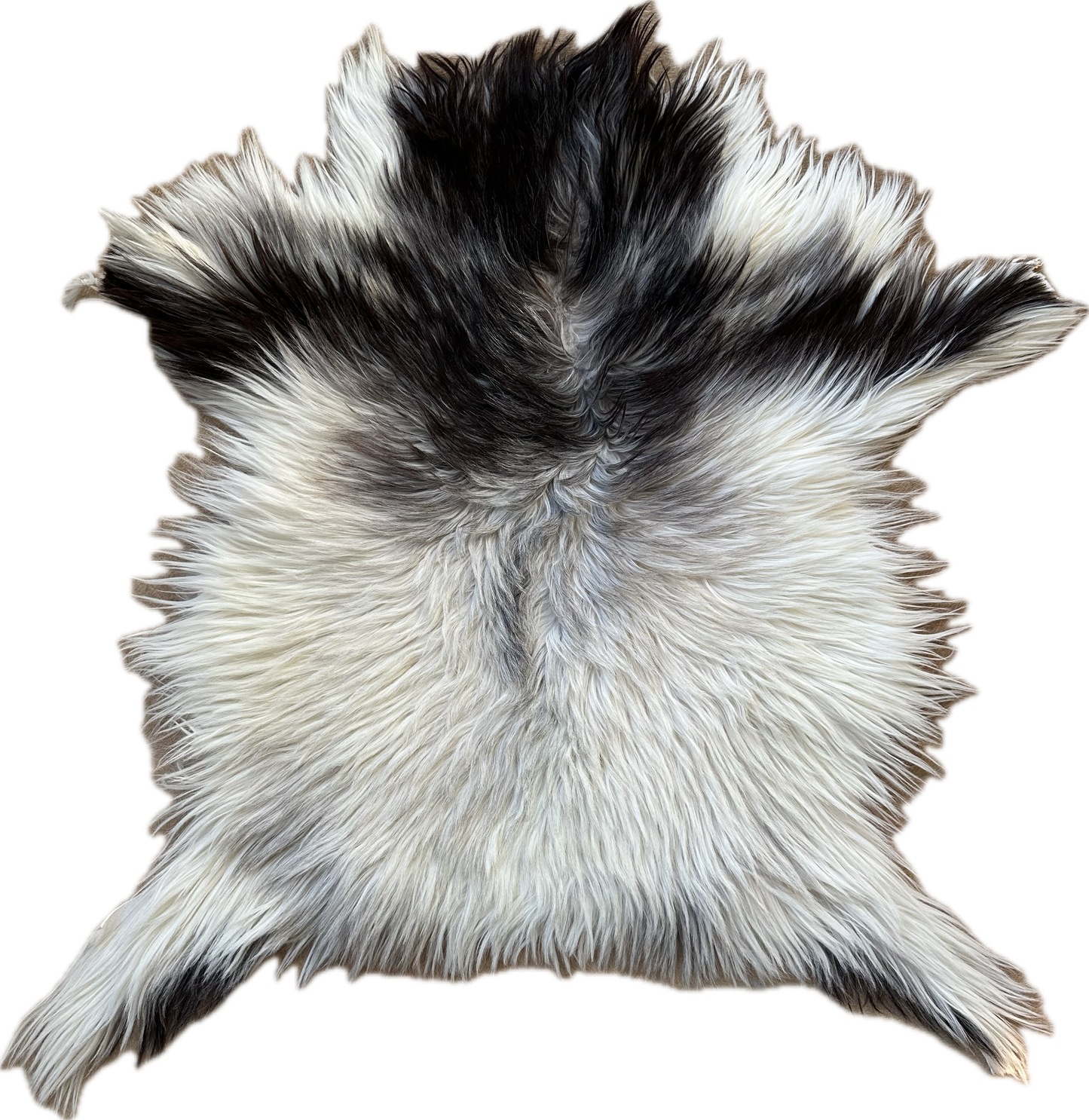 Natural Premium Argentine Criollo Long Hair Goatskin, Light Grey