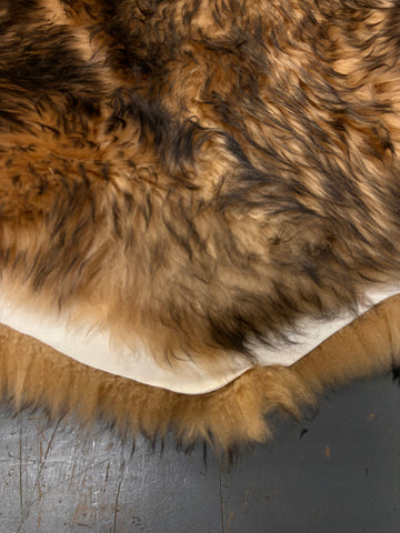 Quad New Zealand Sheepskin Rug & Throw, 4-Pelt, Large, L180 x W105 cm, Light Red Fox