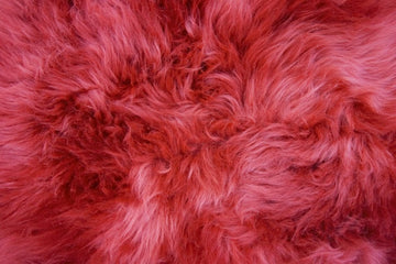 Single X-Large Premium Sheepskin Rug & Throw (W65 x L100 cm), Raspberry