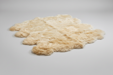Octo New Zealand Sheepskin Rug & Throw, 8-Pelt, XX-Large, L200 x W180 cm, Champagne