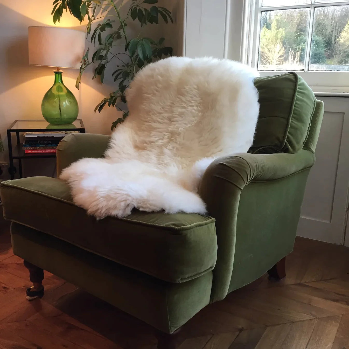 Natural Premium New Zealand Sheepskin Rug & Throw, Single, Large (W60 x L95 cm), Ivory