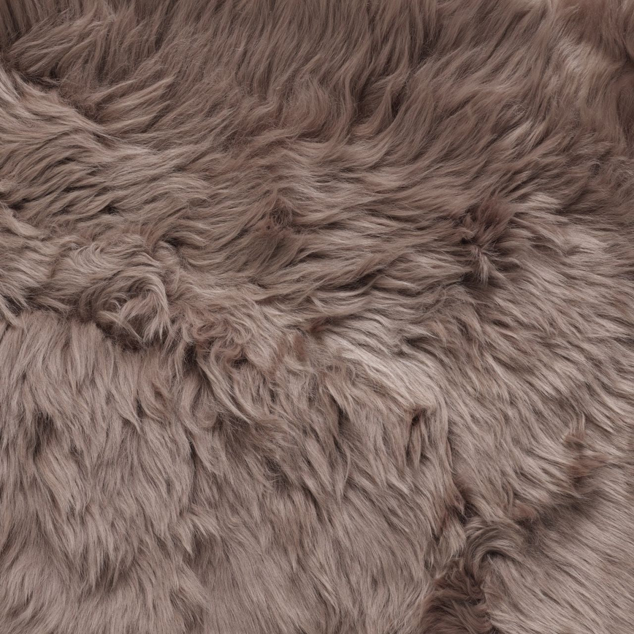Sexto New Zealand Sheepskin Rug & Throw, 6-Pelt, X-Large, L180 x W150 cm, Taupe