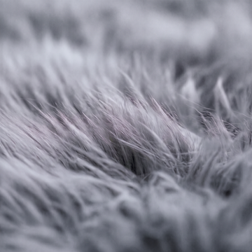 Quad New Zealand Sheepskin Rug & Throw in Grey Mist, wool macro detail