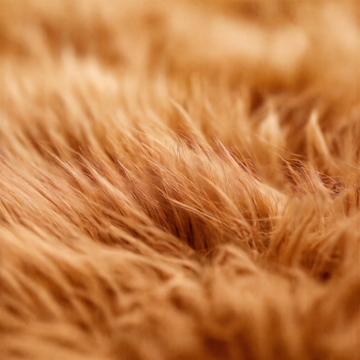 Quad New Zealand Sheepskin Rug & Throw in Honey, wool macro detail