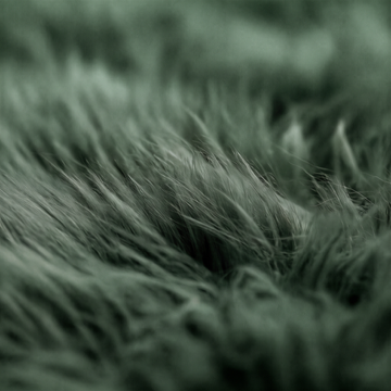 Quad New Zealand Sheepskin Rug & Throw in Jungle Green, wool macro detail