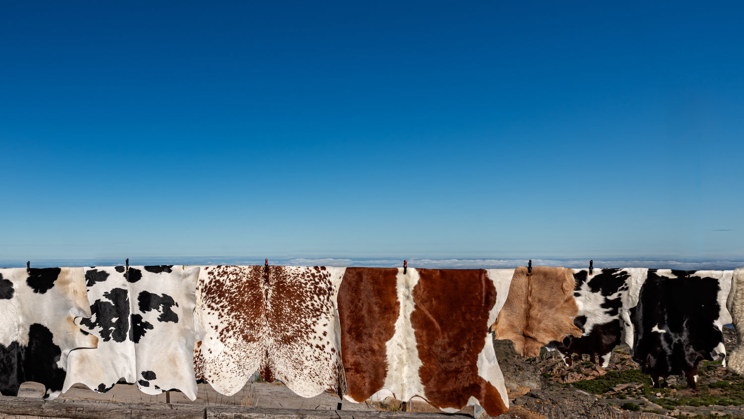 Small Cowhides