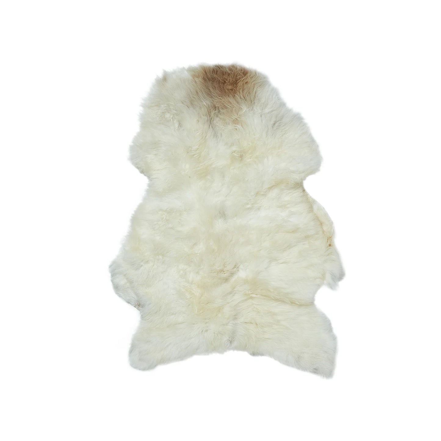 Rarebreed Single Sheepskin  (Gift)