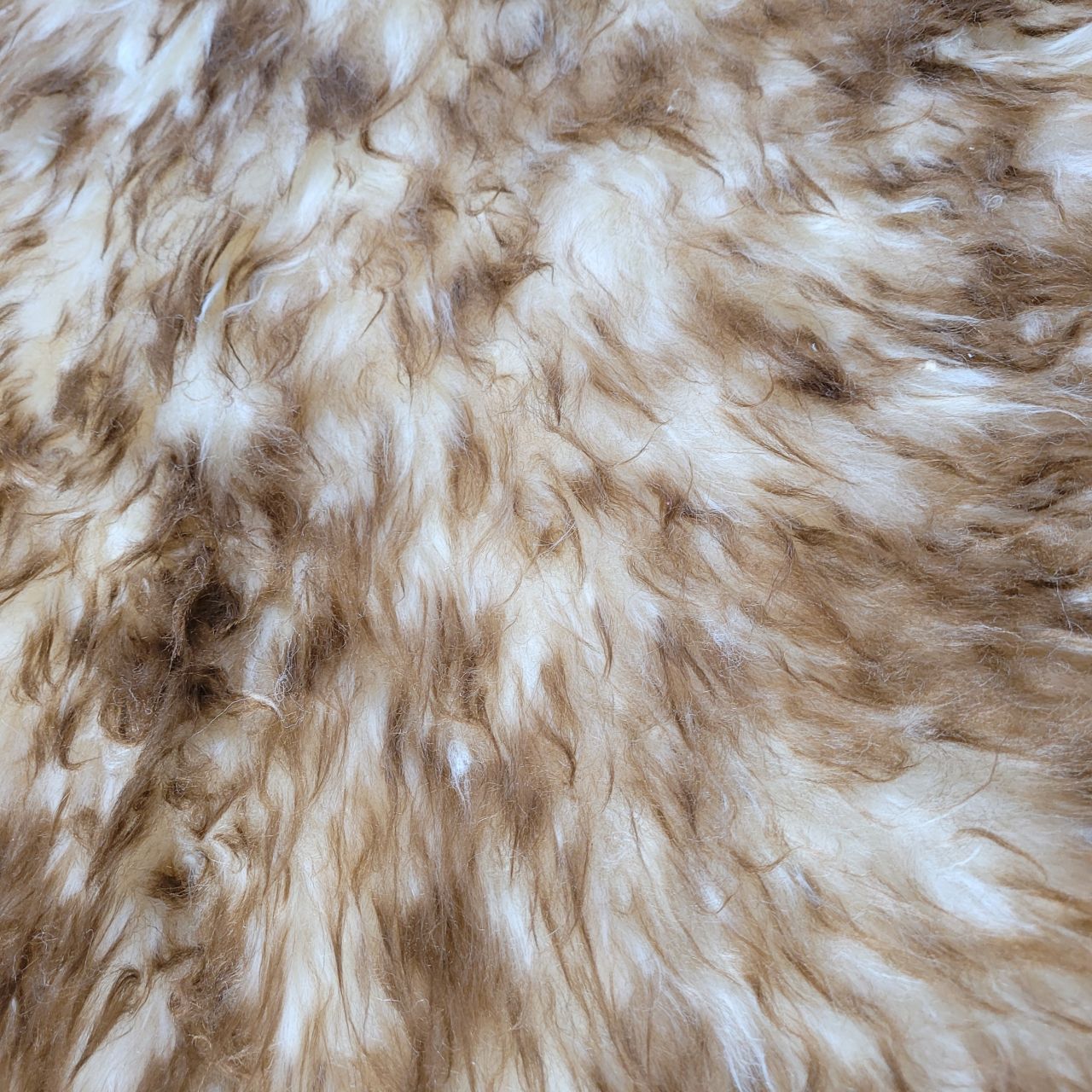 Natural Shaped Pet Rug - lifestyle