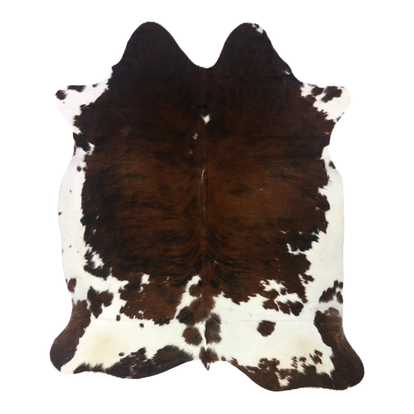 Tri colour brindle cowhide rug, cut-out on transparent background