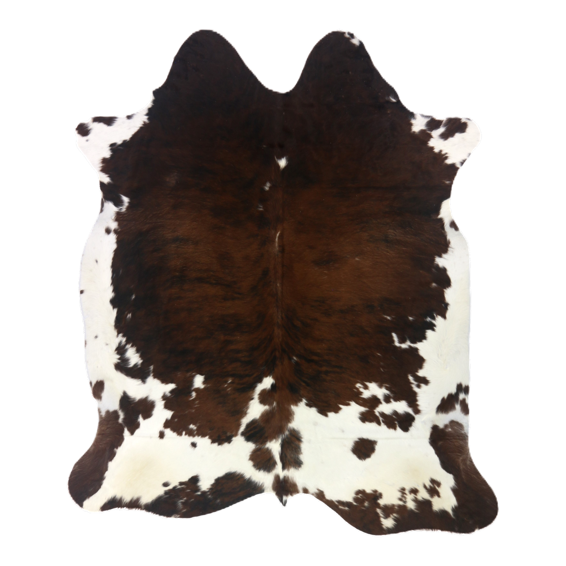 Tri colour brindle cowhide rug, cut-out on transparent background