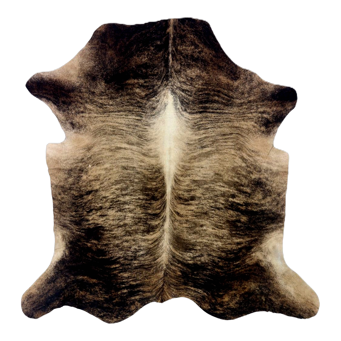 Exotic brindle cowhide rug, cut-out on transparent background