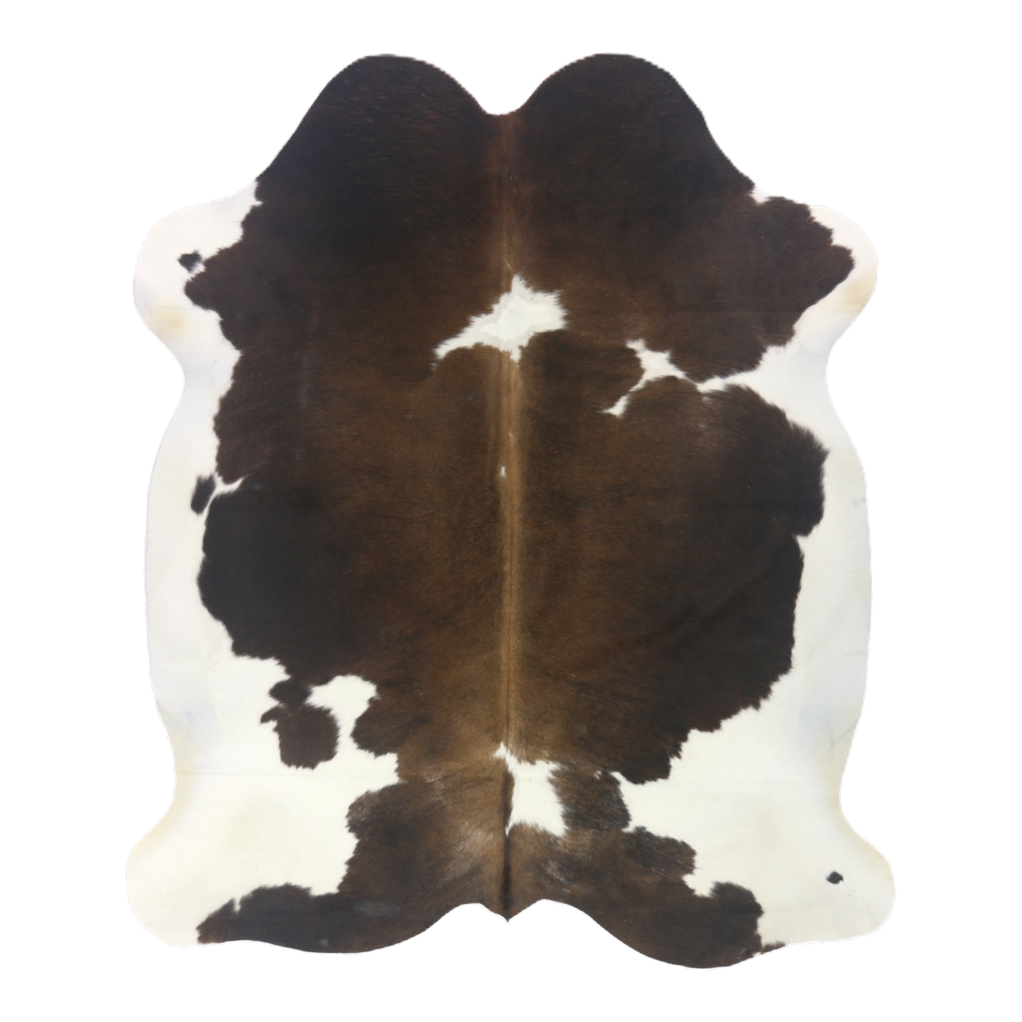 Tri colour cowhide rug, cut-out on transparent background