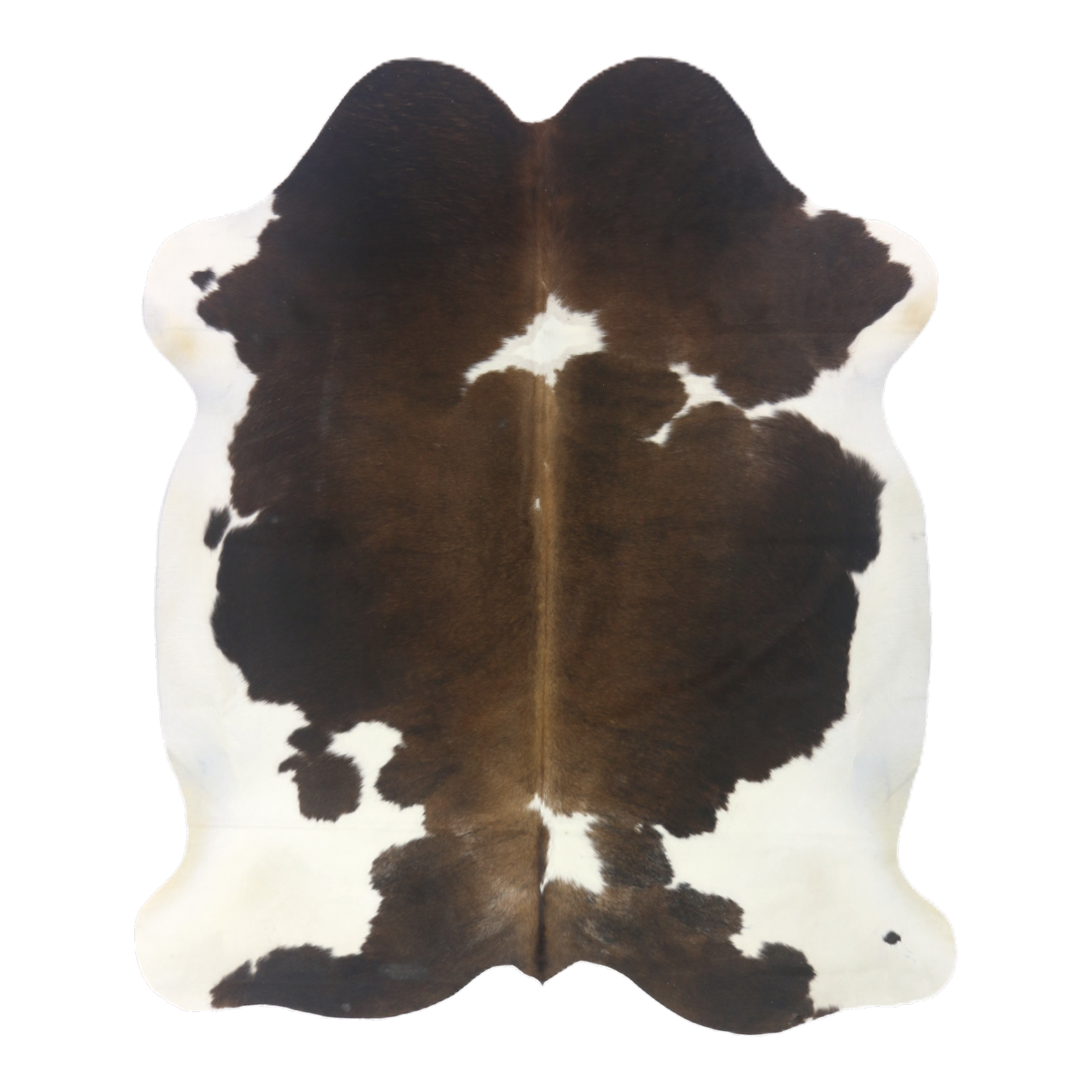 Tri colour cowhide rug, cut-out on transparent background