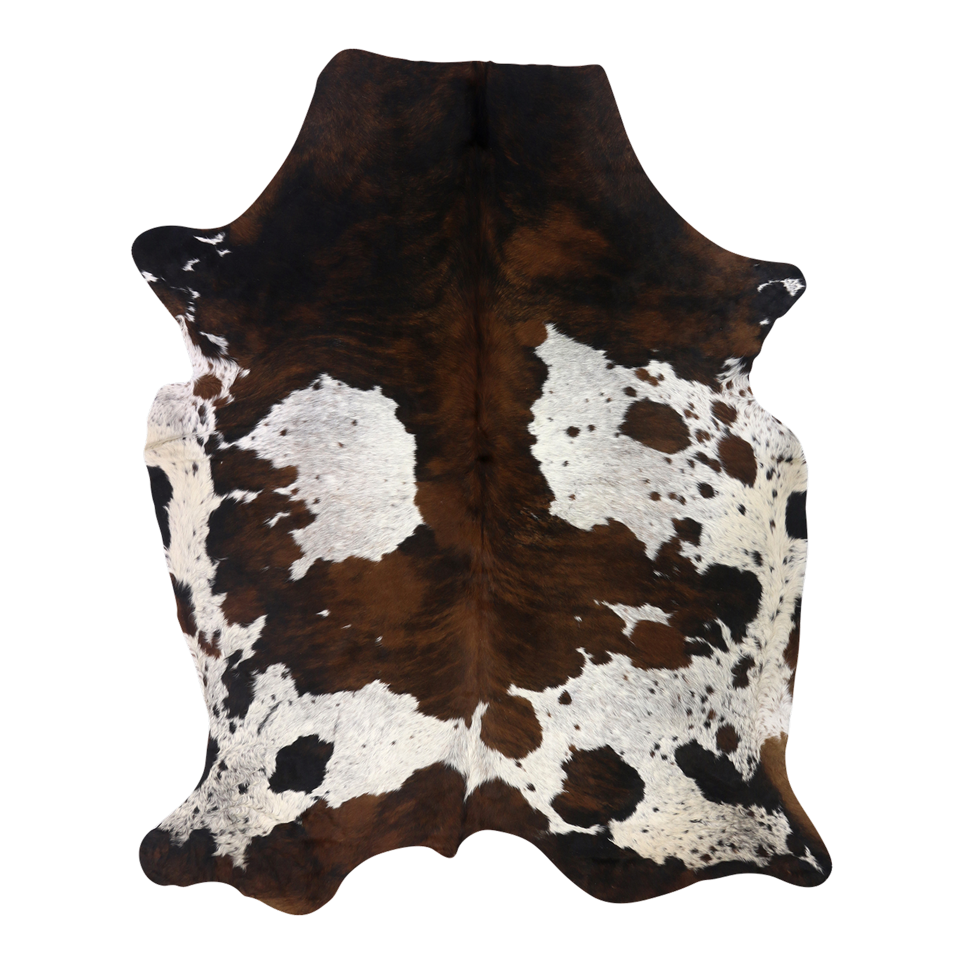 Tri colour brindle cowhide rug, cut-out on transparent background
