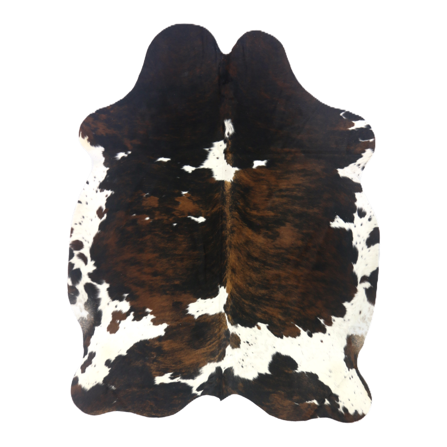 Tri colour brindle cowhide rug, cut-out on transparent background