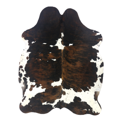 Tri colour brindle cowhide rug, cut-out on transparent background