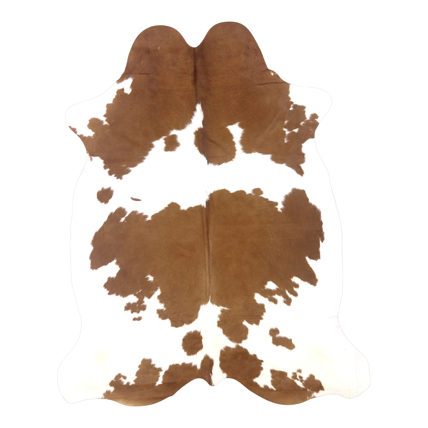 Brown and white cowhide rug, cut-out on transparent background