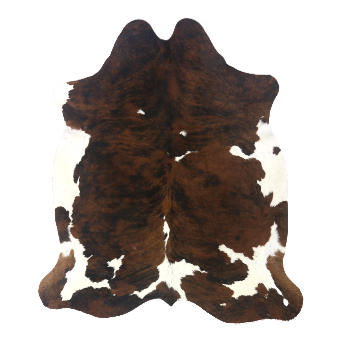 Tri colour brindle cowhide rug, cut-out on transparent background