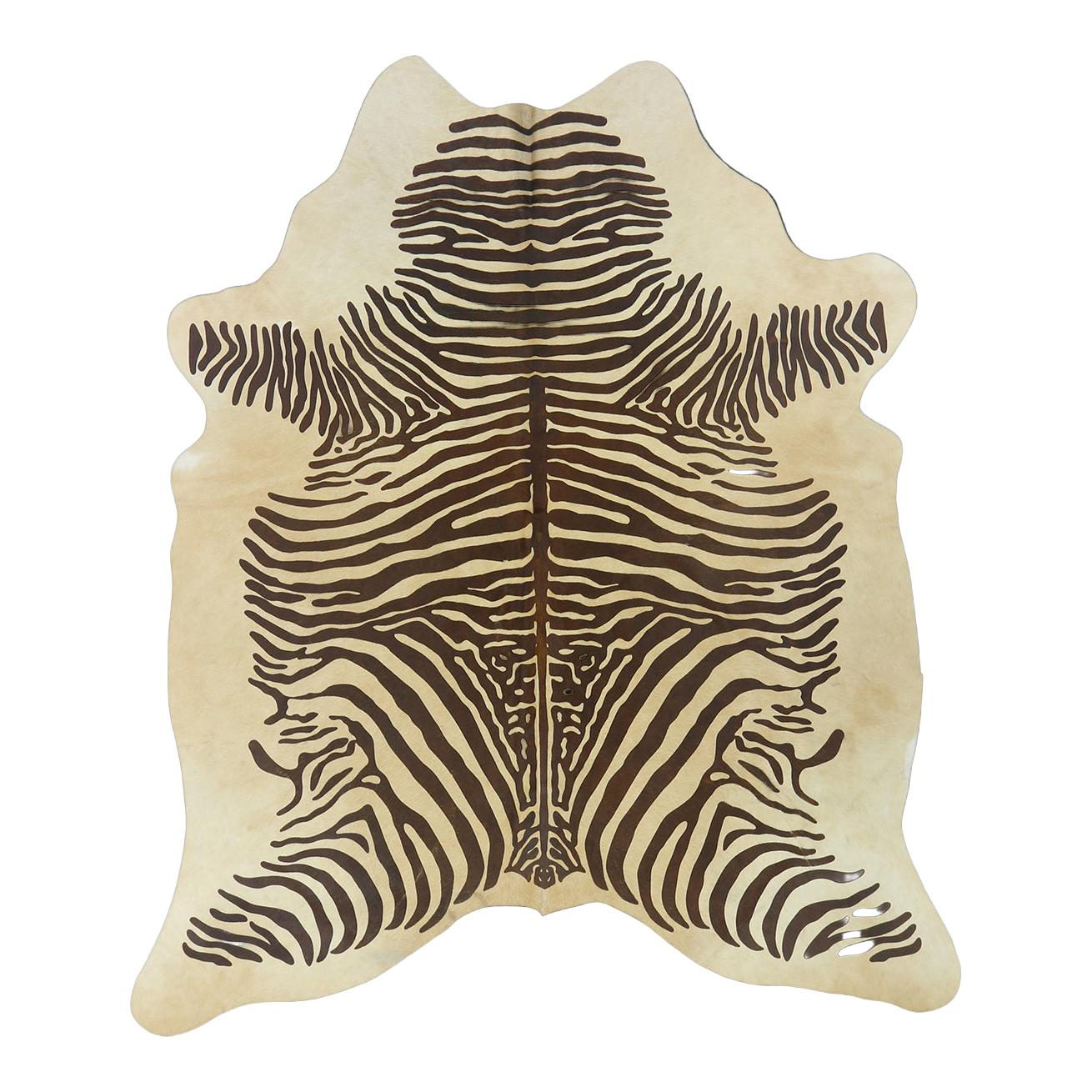 Zebra cowhide rug, cut-out on transparent background