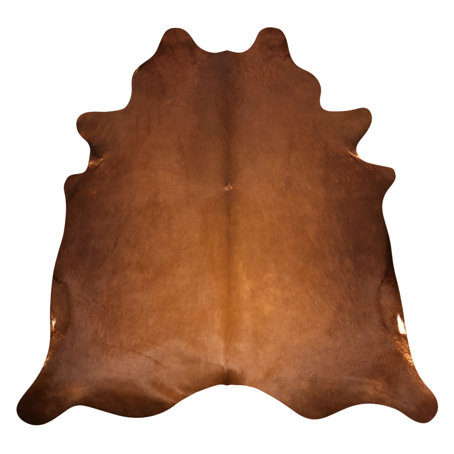 Natural Brazilian Cowhide, Mocha