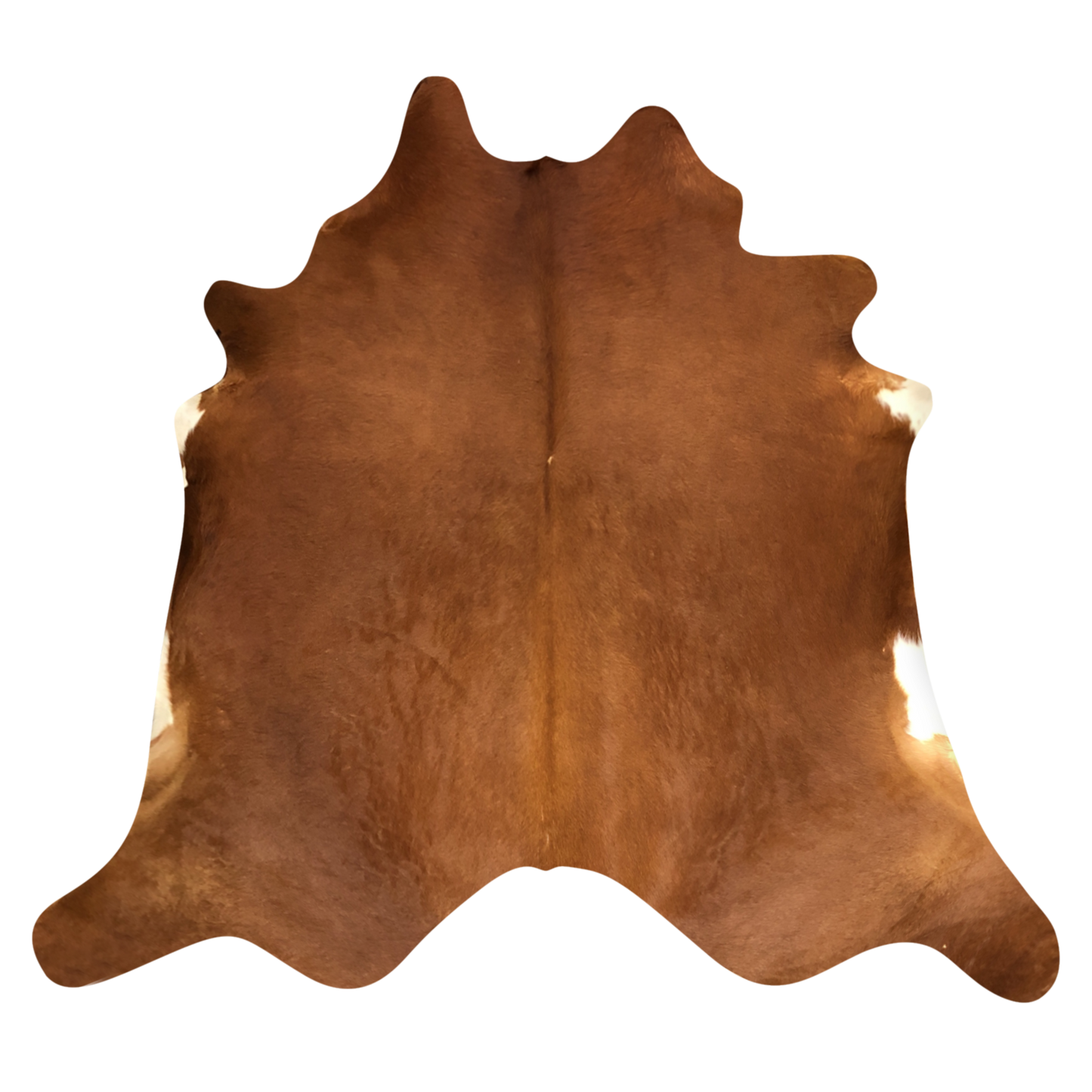 Natural Brazilian Cowhide, Mocha