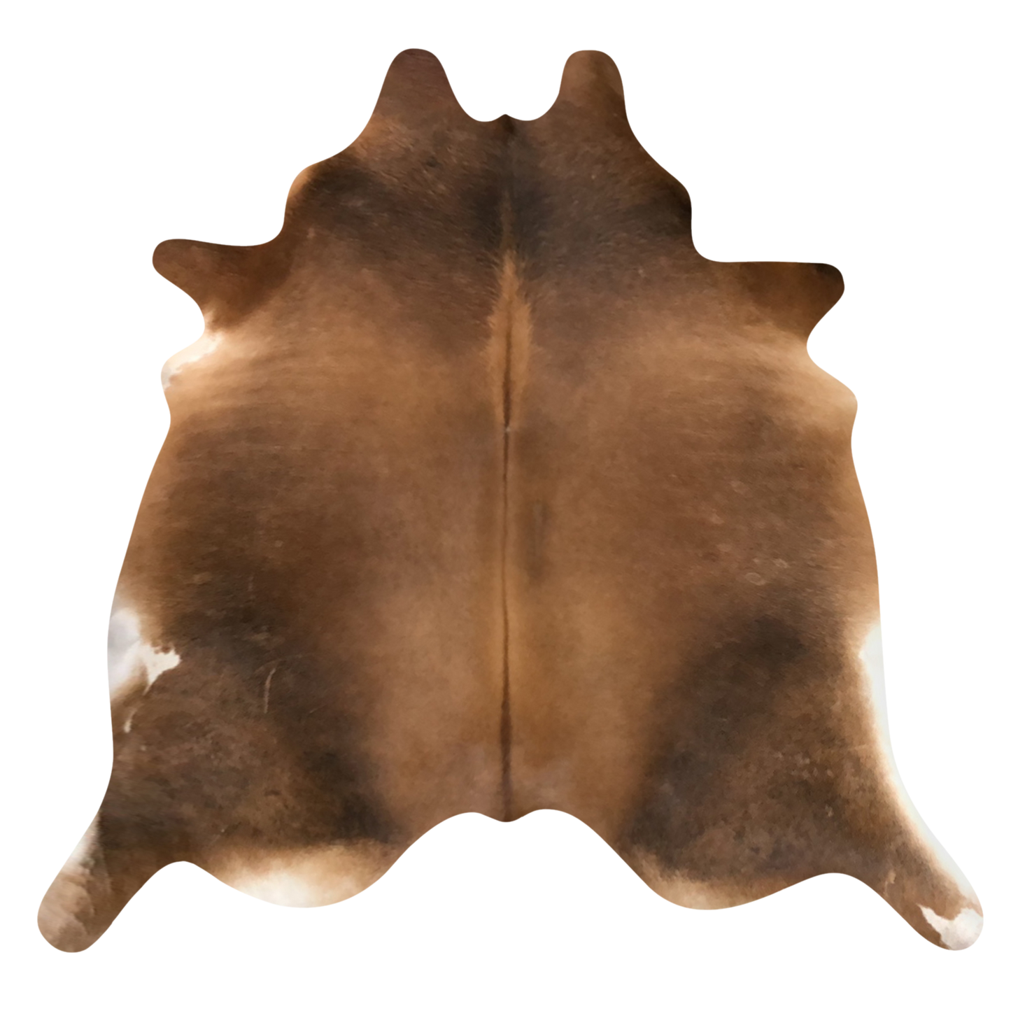 Natural Brazilian Cowhide 218 x 239 cm