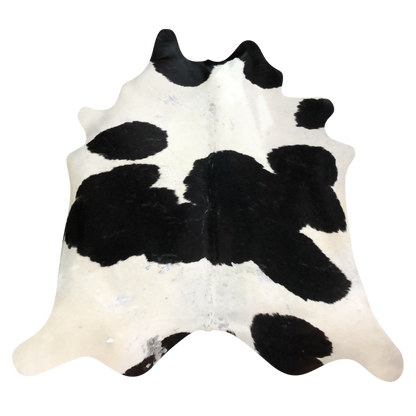 Natural Brazilian cowhide rug in Espresso & Ivory with Holstein markings, 213 x 229 cm