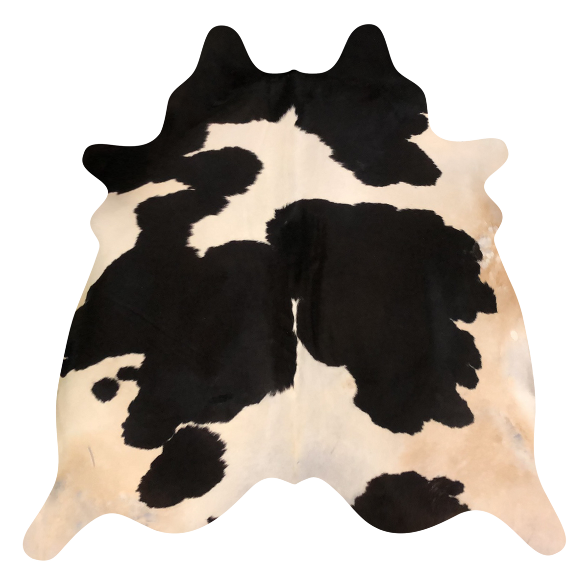 Natural Brazilian cowhide rug in Espresso & Beige with exotic markings, 218 x 244 cm