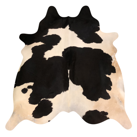 Natural Brazilian cowhide rug in Espresso & Beige with exotic markings, 218 x 244 cm