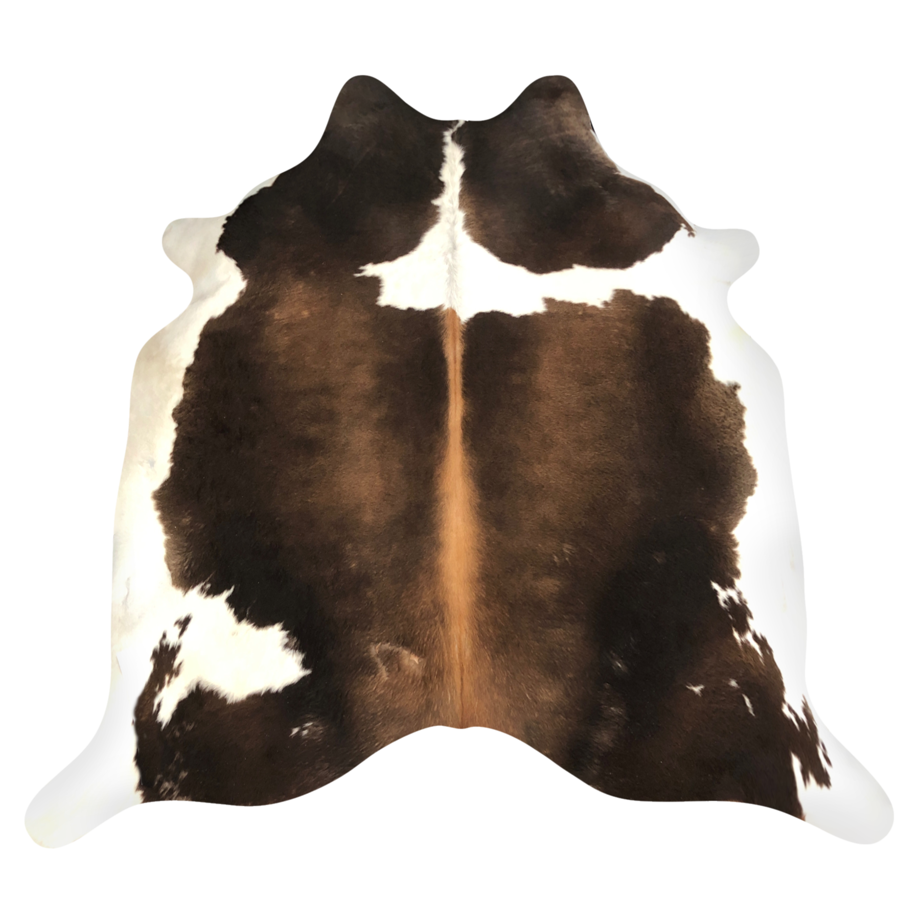 Natural Brazilian cowhide rug in Chocolate, Caramel & Ivory with exotic markings, 220 x 230 cm