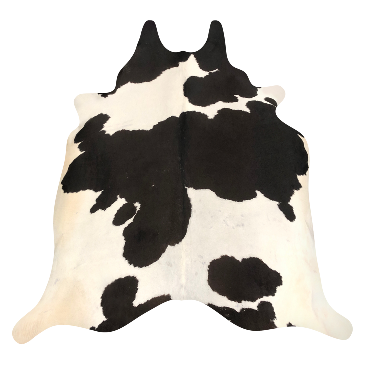 Natural Brazilian cowhide rug in Espresso & Ivory with Holstein markings, 232 x 236 cm