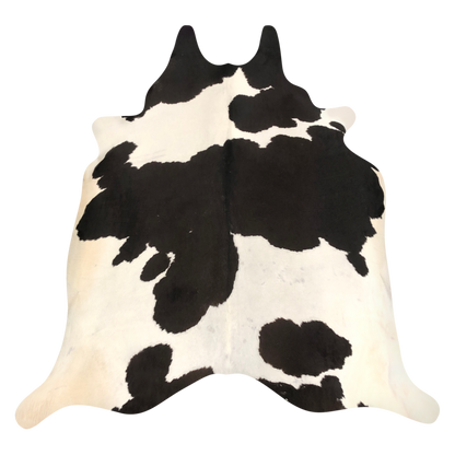 Natural Brazilian cowhide rug in Espresso & Ivory with Holstein markings, 232 x 236 cm