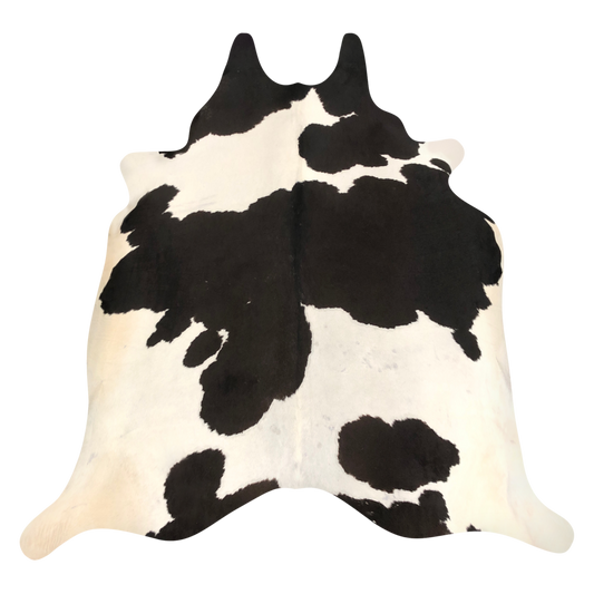 Natural Brazilian cowhide rug in Espresso & Ivory with Holstein markings, 232 x 236 cm