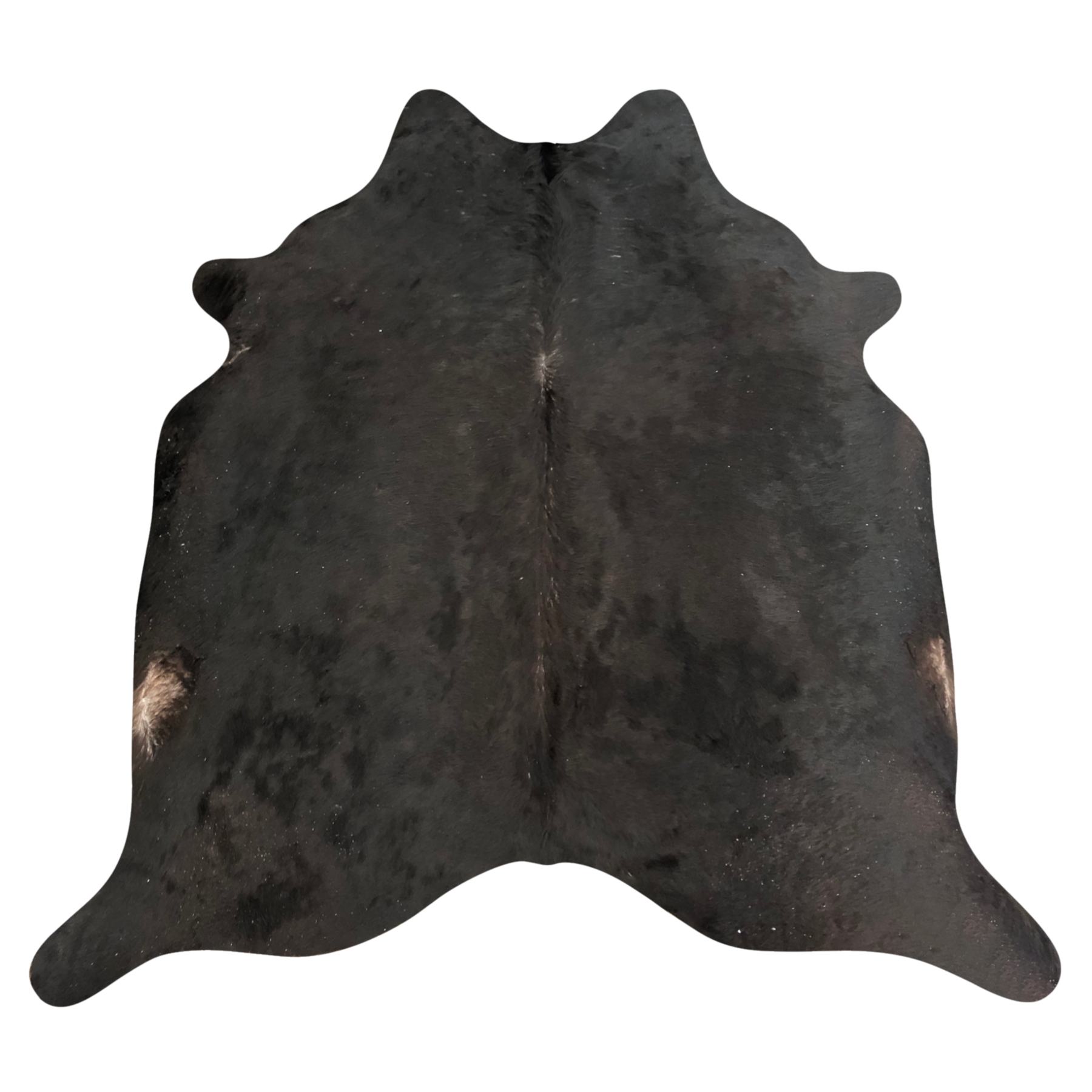 Natural Brazilian cowhide rug in Espresso & Ivory with exotic markings, 238 x 233 cm