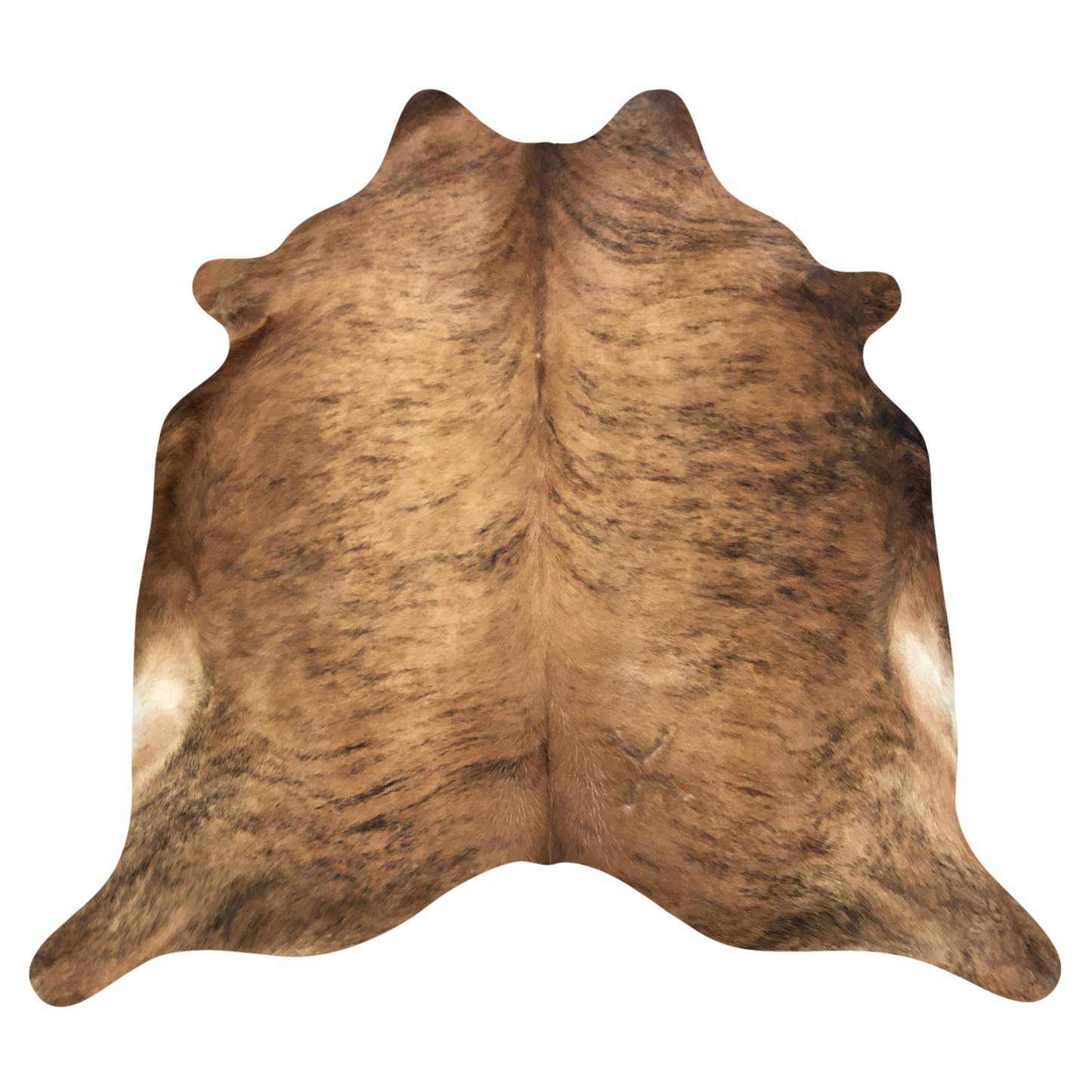 Natural Brazilian cowhide rug in Caramel, Espresso & Ivory with brindle markings, 223 x 244 cm