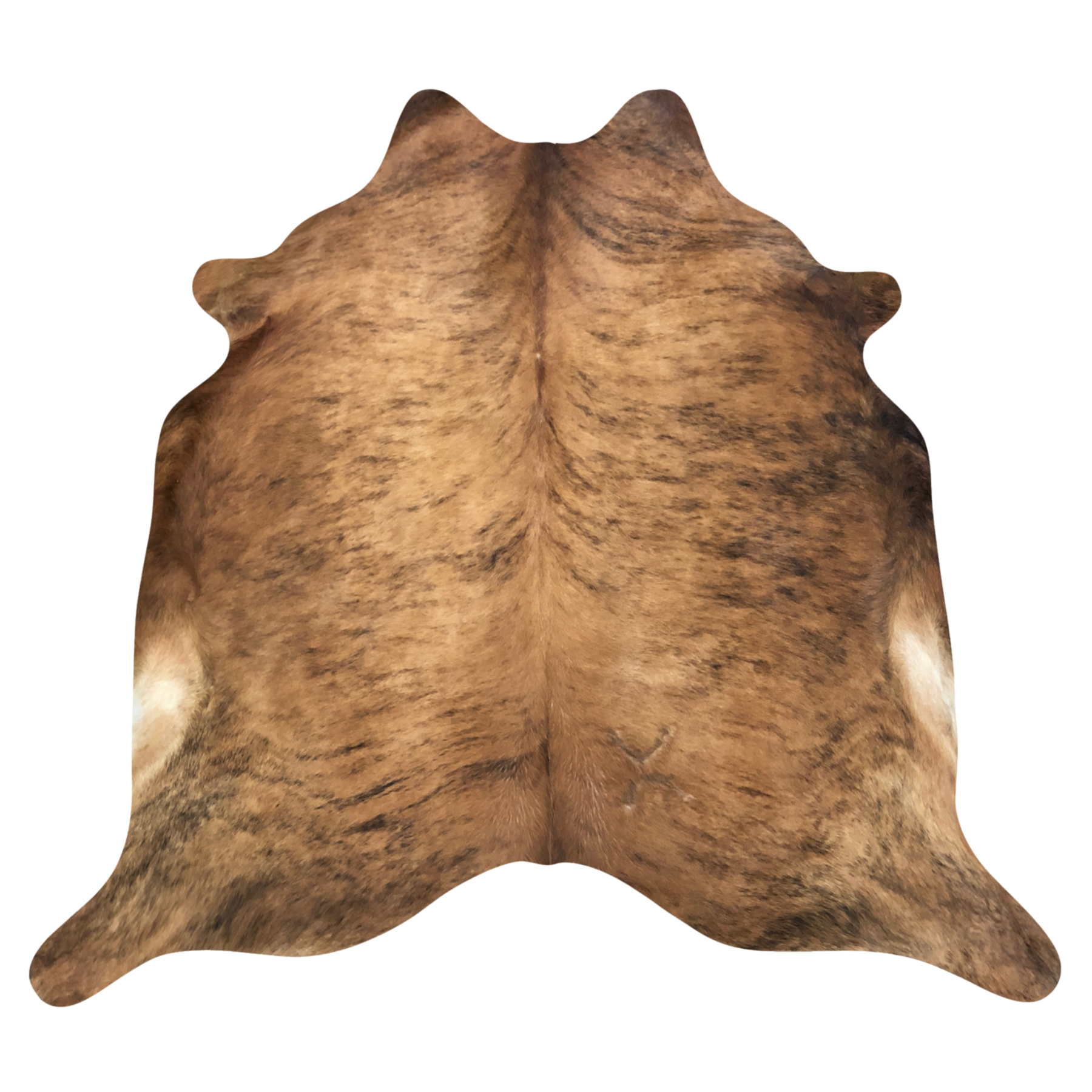 Natural Brazilian cowhide rug in Caramel, Espresso & Ivory with brindle markings, 223 x 244 cm