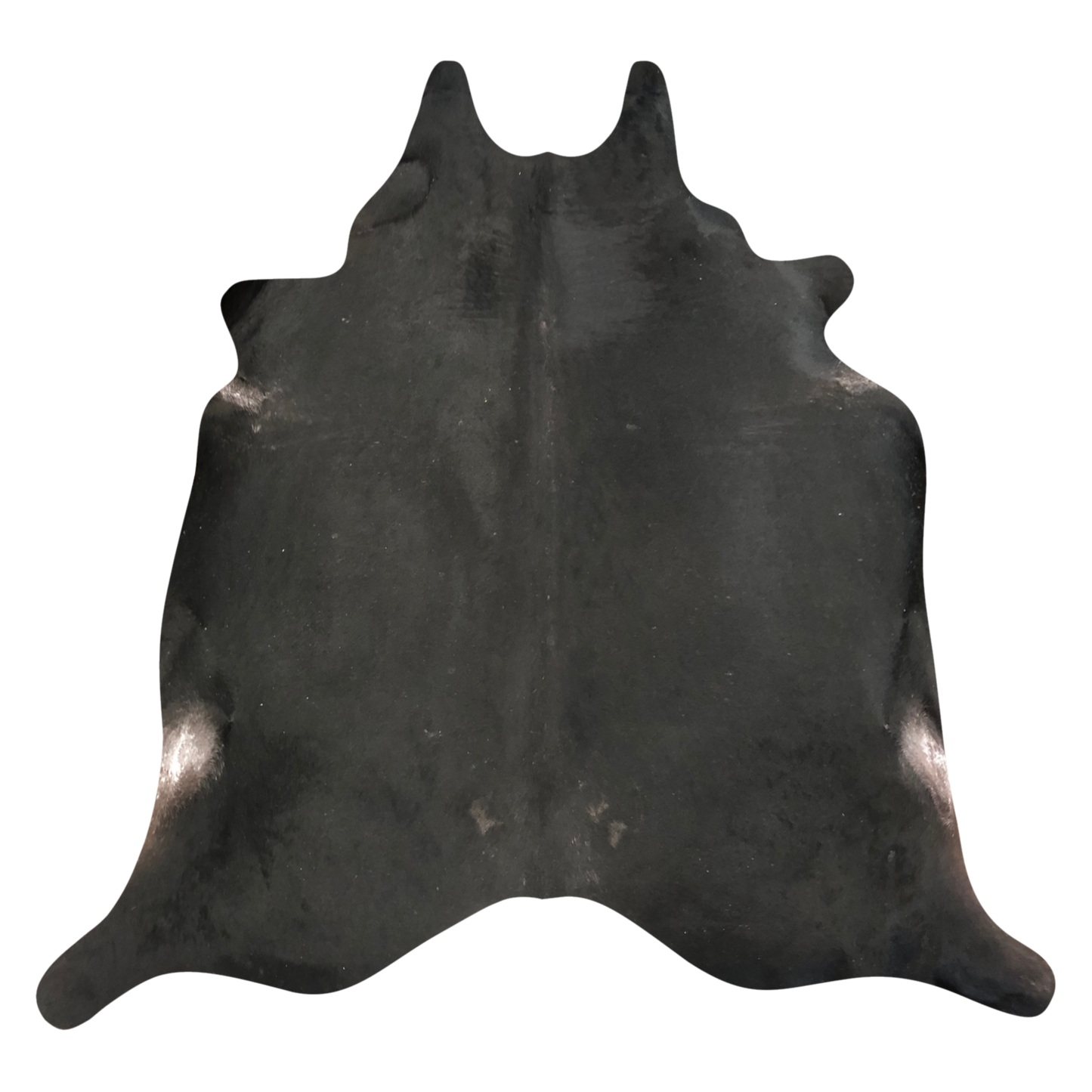 Natural Brazilian cowhide rug in Espresso & Ivory with exotic markings, 218 x 225 cm
