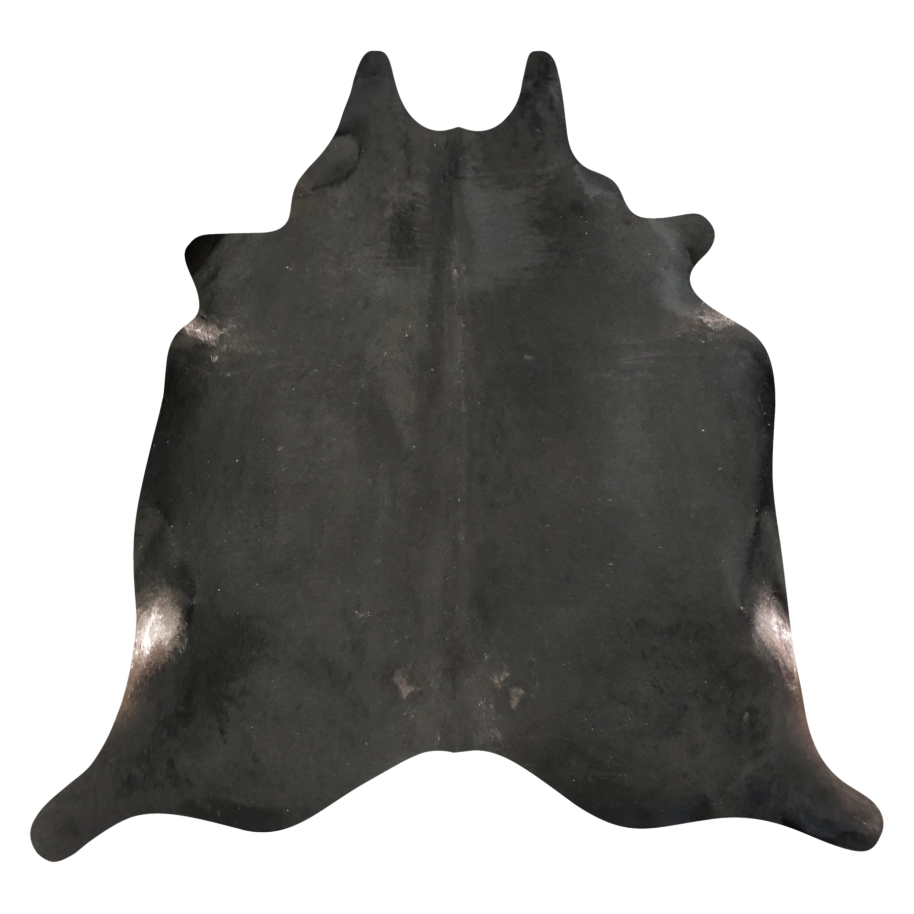 Natural Brazilian cowhide rug in Espresso & Ivory with exotic markings, 218 x 225 cm