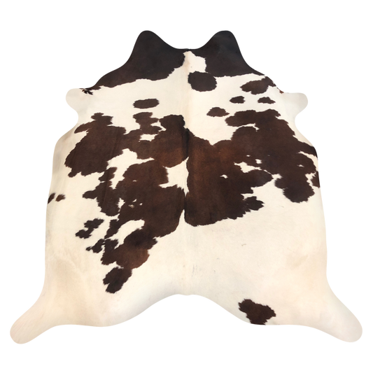 Natural Brazilian cowhide rug in Chocolate, Ivory & Espresso with exotic markings, 208 x 235 cm