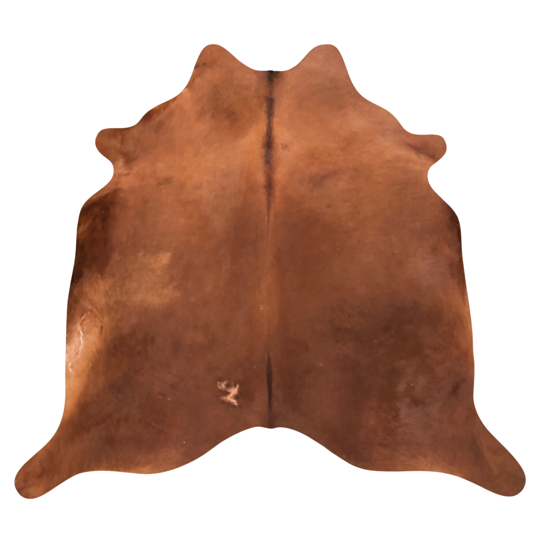 Natural Brazilian cowhide rug in Mocha with a solid, even tone, 234 x 240 cm