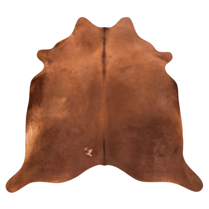 Natural Brazilian cowhide rug in Mocha with a solid, even tone, 234 x 240 cm