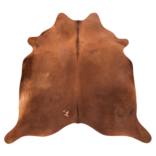 Natural Brazilian cowhide rug in Mocha with a solid, even tone, 234 x 240 cm
