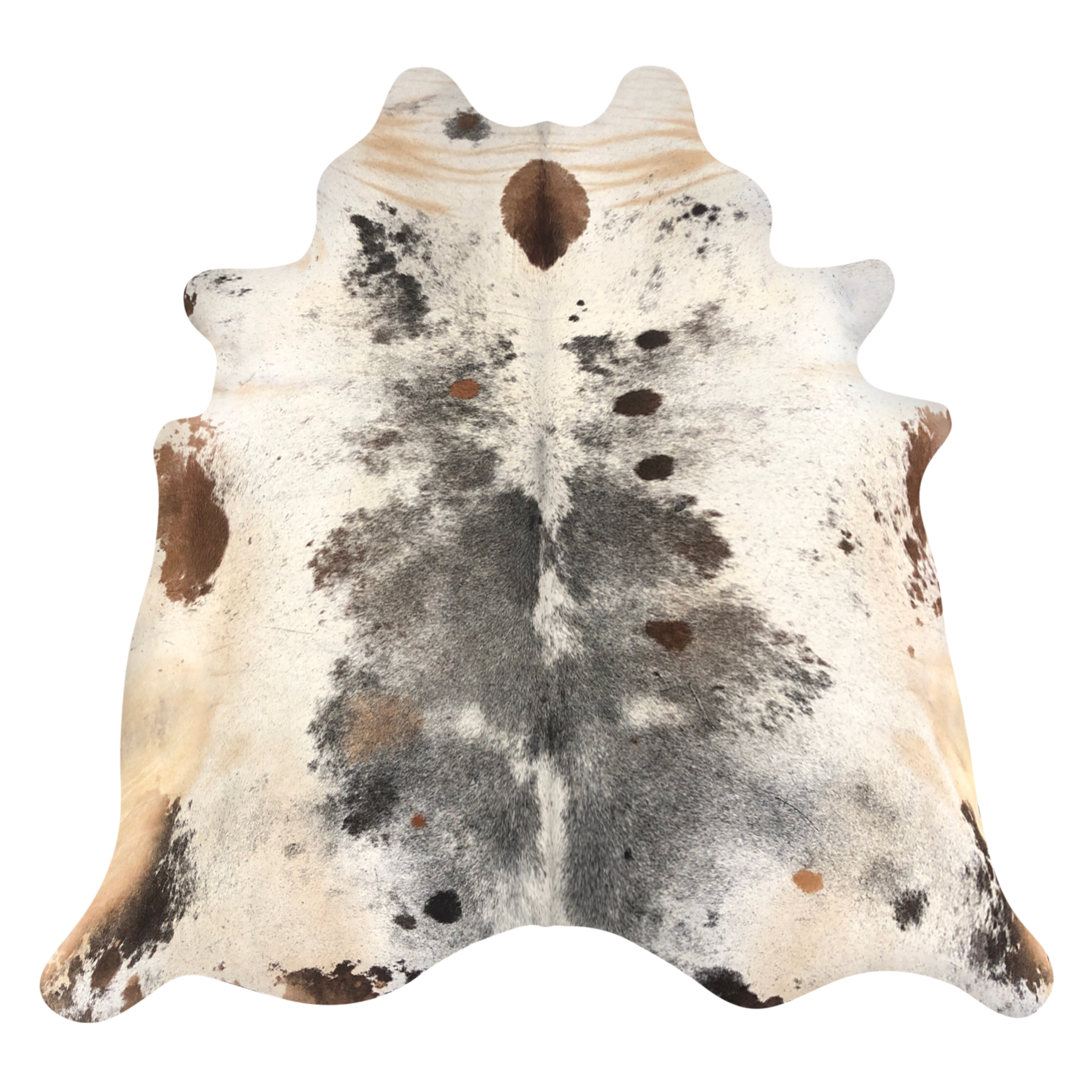 Natural Brazilian cowhide rug in Espresso, Ivory & Mocha with exotic markings, 235 x 224 cm