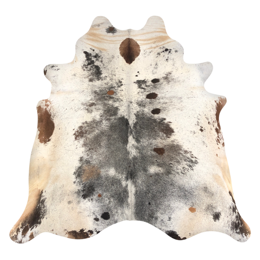 Natural Brazilian cowhide rug in Espresso, Ivory & Mocha with exotic markings, 235 x 224 cm